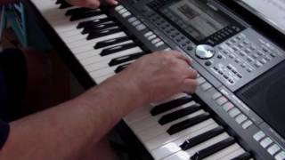 Video thumbnail of "Skyfall - Yamaha PSR-S970"