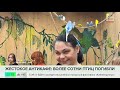 Свыше 100 мертвых попугаев нашли в морозильной камере в одном из столичных антикафе