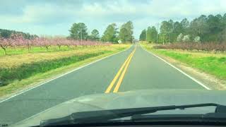 Drive To Trenton, Sc