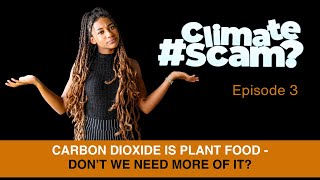 Plants need carbon dioxide - so is more of it a good thing?