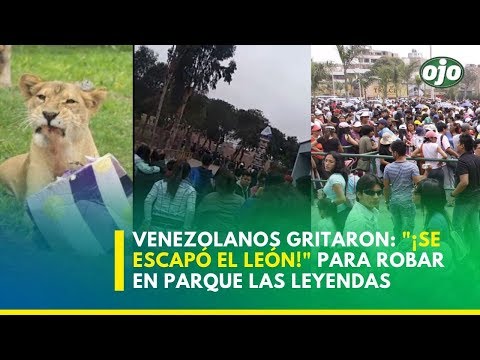 Venezolanos provocaron pánico en el Parque de Las Leyendas para robar a visitantes