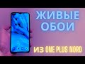 ❄️Живые обои из OnePlus дико удивили меня. Как скачать? #oneplus