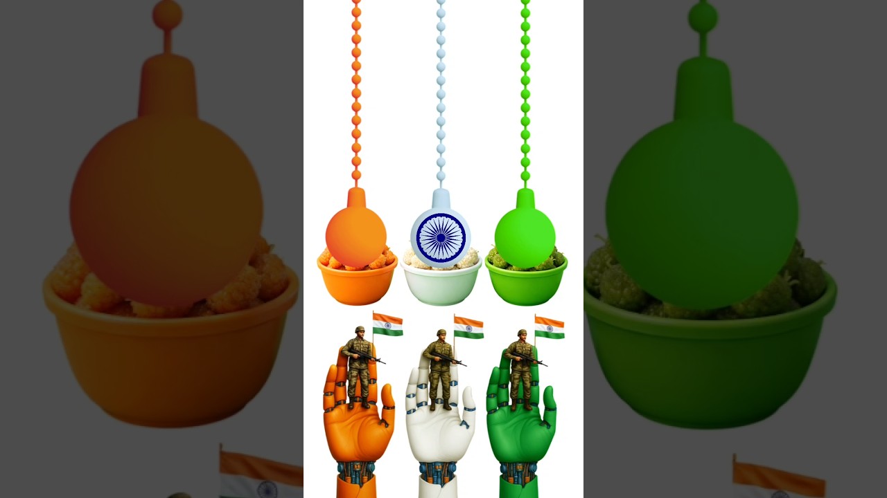 Indian flag craft art | 26 January status 