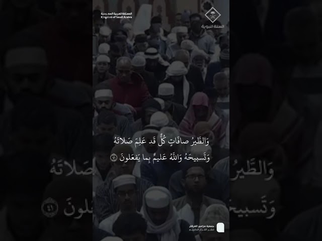 مقتطف من تلاوة الشيخ #عبدالباري_الثبيتي من مغرب 15 رجب 1446هـ