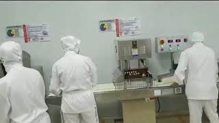 Momo production line