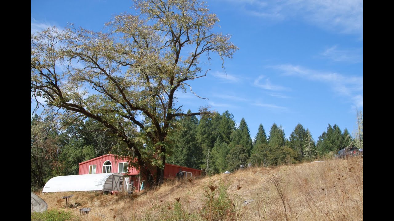 Alderpoint Road, Blocksburg CA YouTube