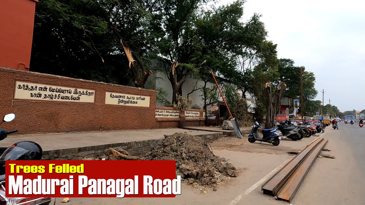 🔴 Madurai Panagal Road | Trees Felled