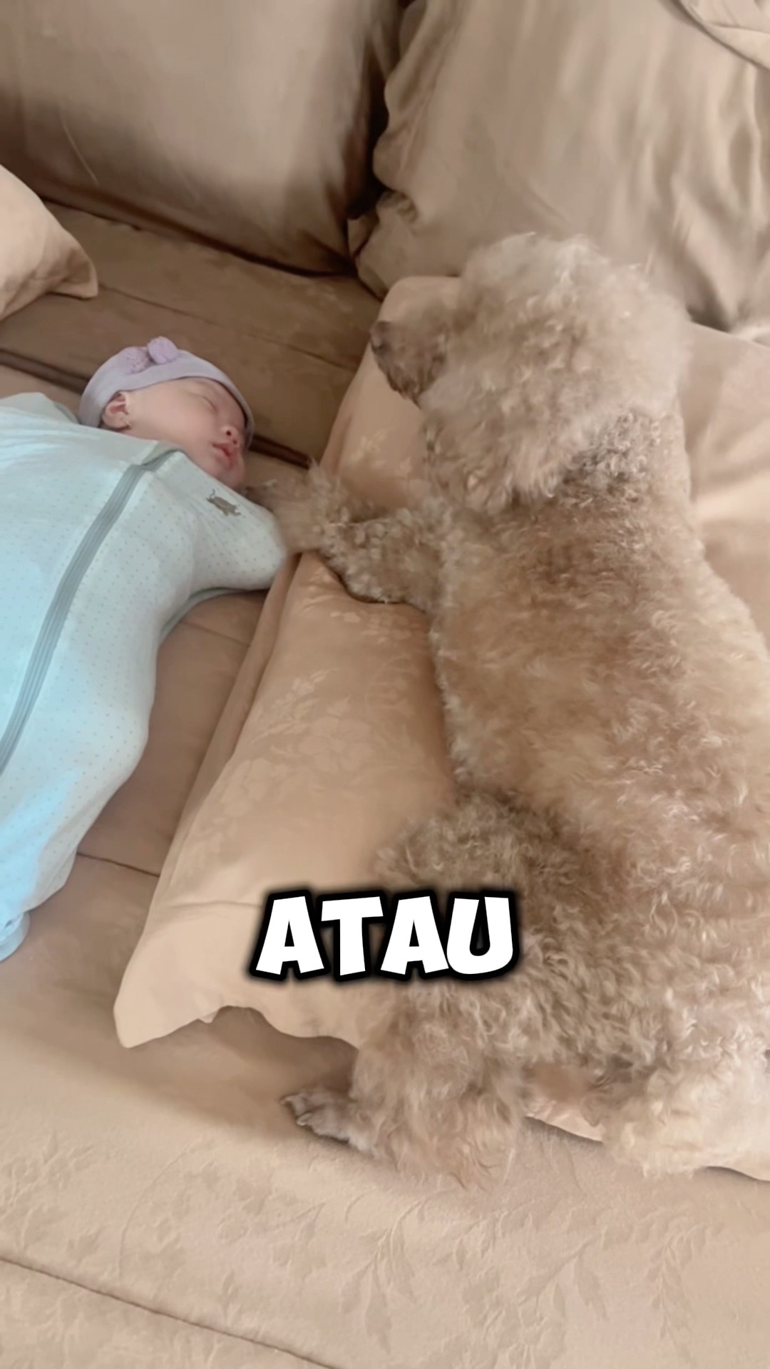 YANG DILAKUIN KE BAYI!