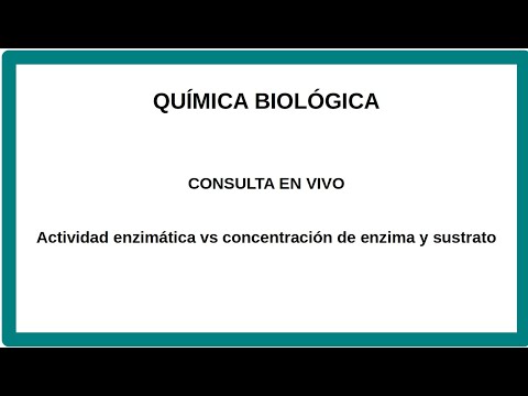 Video: ¿Cómo se calcula la concentración de enzimas?