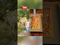 # funny Super funny Laugh-till-you-pee funny