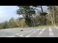 Traxxas E Revo 2.0 Top Speed Stock