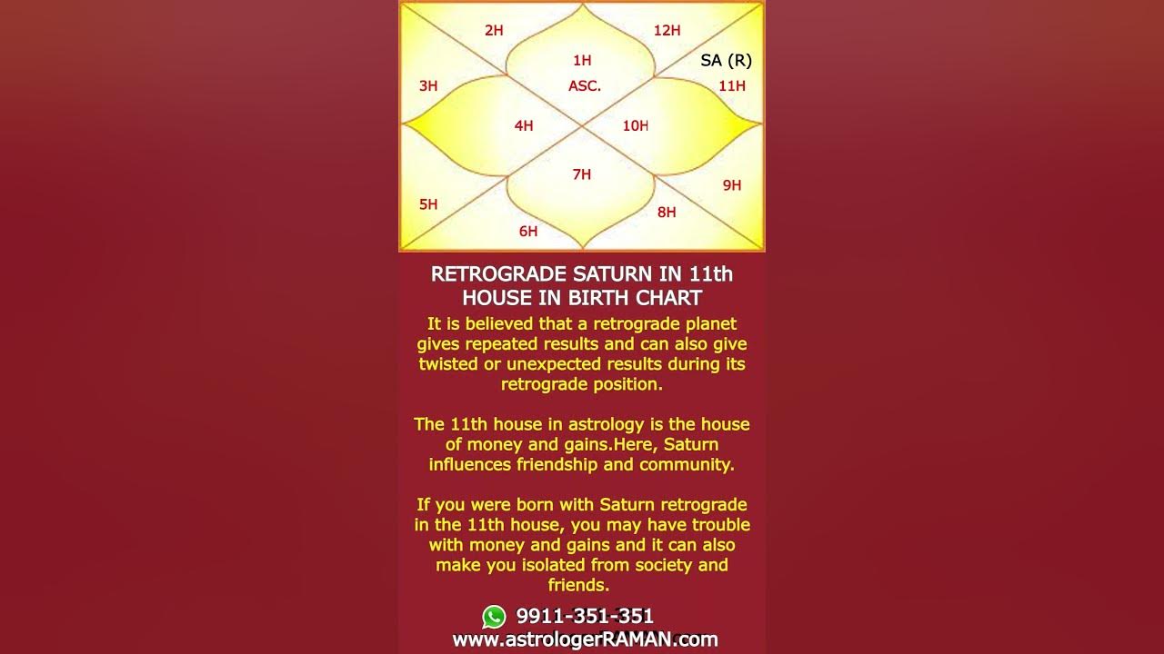 Retrograde Saturn in 11th House in Birth Chart I One Minute Astrology I