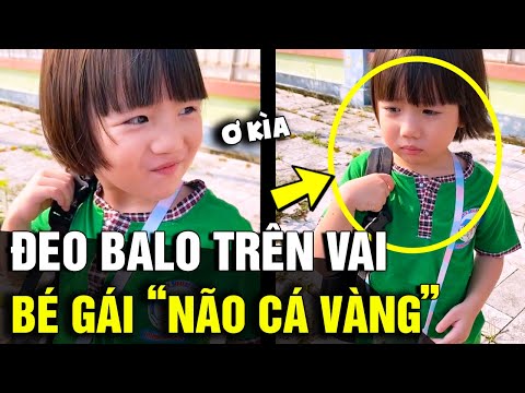 Video Mang BALO TRÊN VAI nhưng vẫn 'LUỐNG CUỐNG' đi tìm, bé... - youtube