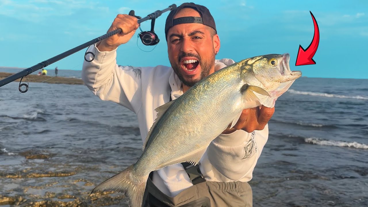 KIYI LÜFER KAYNIYOR ! / At Çek Spin LRF Balık Avı / Lüfer Avı