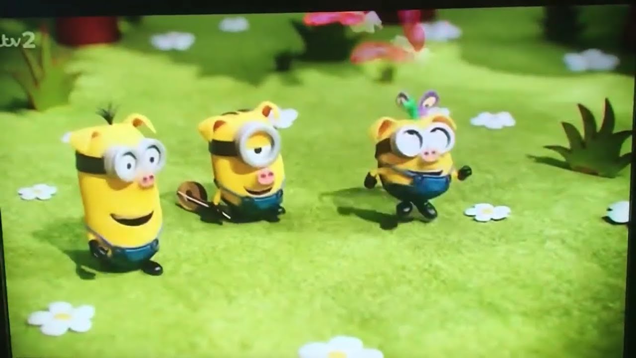 Minions Three Little Pigs Story YouTube