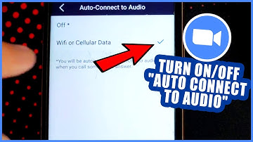 How to Turn ON/OFF "Auto Connect to Audio" in zoom