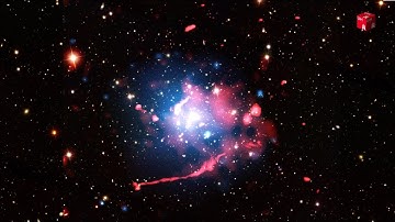 Hunting Radio Galaxies in the Outback of the Universe / Radio Astronomy in Hamburg