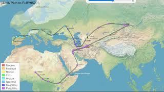 Big Y-700 Dna - Ftdna Discover Snp Tracker R-By95973 R1B