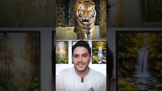 How Zoo Keepers Bathe Tigers?