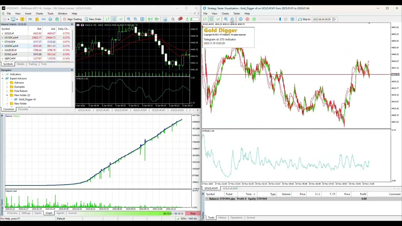 Gold Digger EA High Risk Backtesting