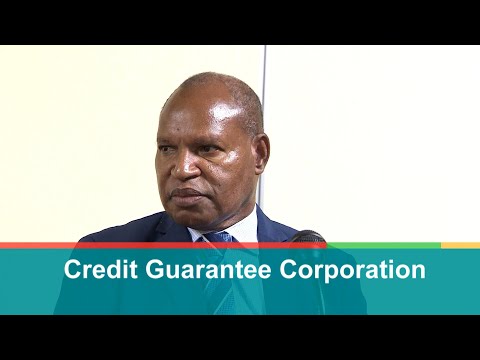 What Is Credit Guarantee Corporation