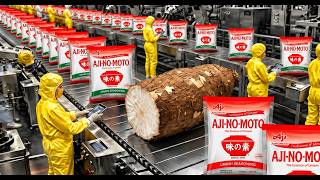 Inside the Giant Ajinomoto Factory: The Technology for Producing MSG from Cassava (Full Process)