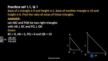 Similarity Class 10 SSC | Practice Set 1.1 | Question no 1 | Maharashtra Board #short_Solutions