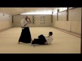 Merritt Steven's Aikido System - 1