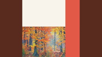 Pulsating Calming Sunday