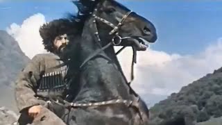 Кабардинские Кони 🐎 ყაბარდოული ცხენები 🐎 Circassiens Horses