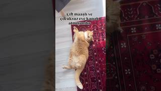 Yerinde Olmak Isterdim 😻😅 Ürkiye