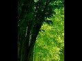 ربنا من يديك فاض النعيم
