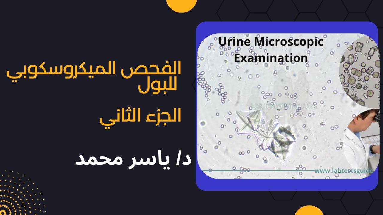 شرح تحليل البول الفحص الميكروسكوبي الجزء التاني | المحاضرة 2 | د/ ياسر محمد