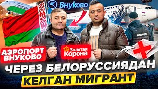 видео: 🚨АЭРОПОРТ ВНУКОВО😳ЧЕРЕЗ БЕЛОРУССИЯ🚨КЕЛГАН МЕГРАНТ НИМА БУЛЛИ😡#bilet#automobile#аэропорт#reels#рек картинка: 🚨АЭРОПОРТ ВНУКОВО😳ЧЕРЕЗ БЕЛОРУССИЯ🚨КЕЛГАН МЕГРАНТ НИМА БУЛЛИ😡#bilet#automobile#аэропорт#reels#рек