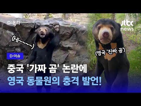   중국 동물원 안젤라 곰인형 탈을 쓴 사람이다 D 이슈