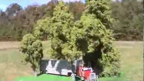 LONGSHADOWS TREES  N & HO Scale