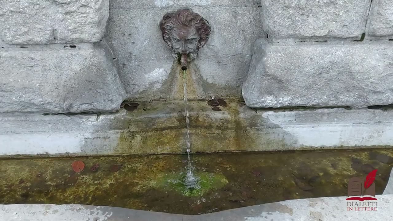 DIALETTI IN LETTERE Pompilio Dottore CASTEL BARONIA