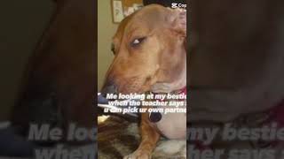 Yes sir #funny #memes