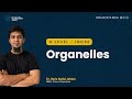 2. O Level / IGCSE Biology | Organelles