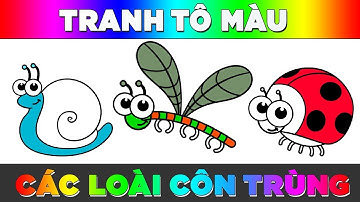Côn Trùng Tranh Tô Màu Các Loài Côn Trùng Dễ Thương Cho Bé Học Tô Màu Tập Vẽ Và Tô Màu Đơn Giản