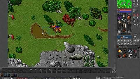 Taleon Online Rookgard - RESPAW DE ORC