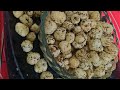Mhashivatari Special | Masala Makhana ,chatpata crisp, very healthy | #minkikadhabha