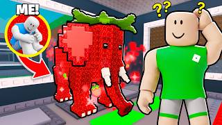 Hide And Seek In Steal A Brainrot Roblox..