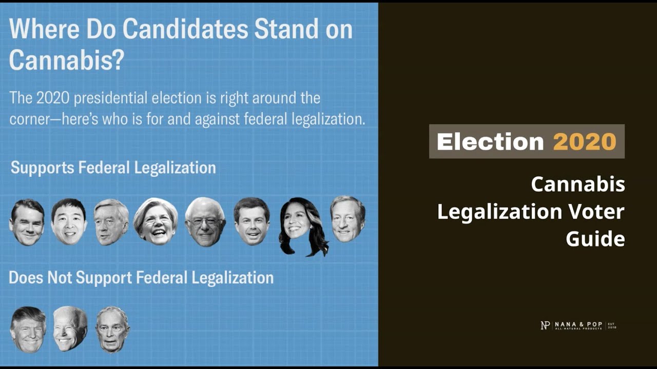 Election 2020: Cannabis Legalization