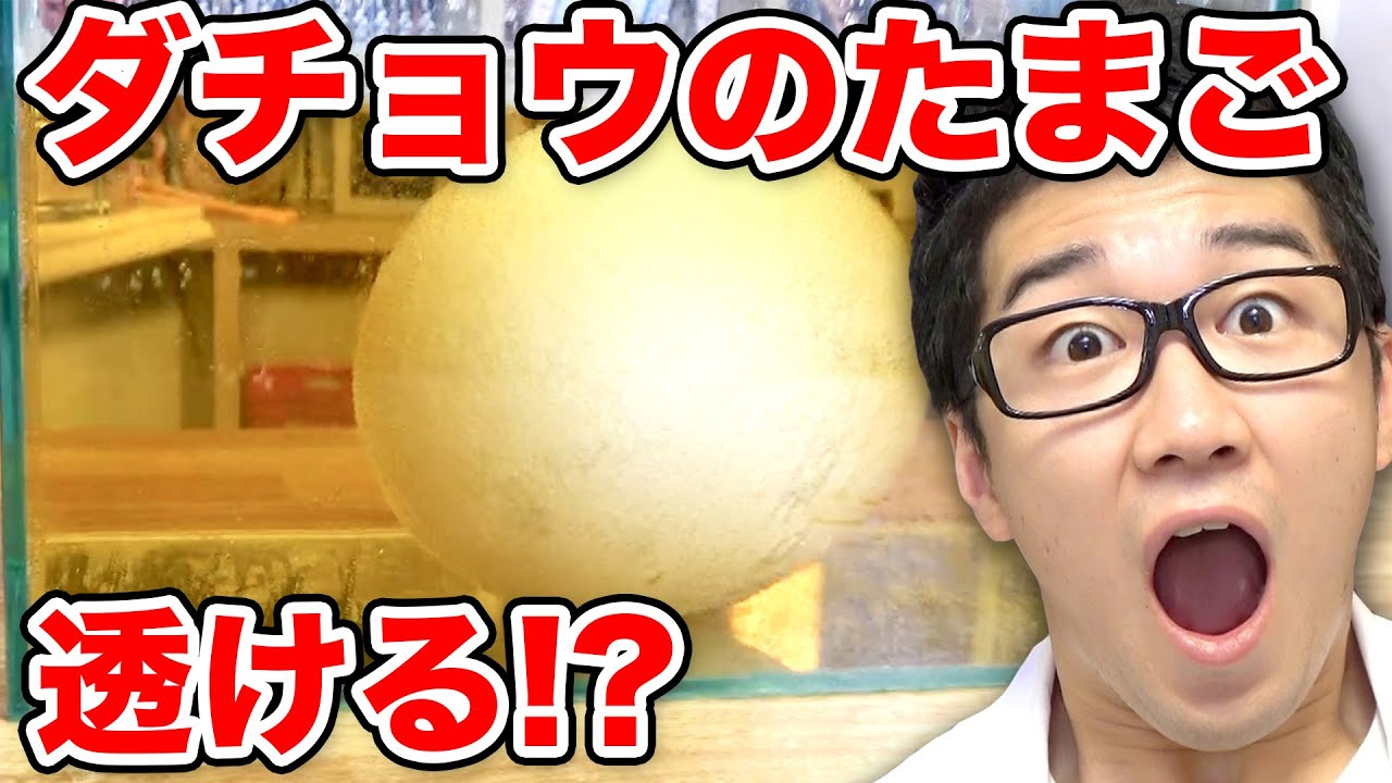 実験 巨大ダチョウ卵でぷよぷよスケルトン卵作り Youtube