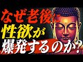 65歳からの性欲が招く最悪の結末|ブッダが教える自然な心と体の変化【仏教が警告】