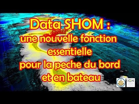 Data-Shom : une nouvelle fonstions à connaitre absolument !