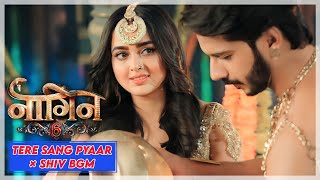 Naagin 6 | Tere Sang Pyaar Instrumental X Shiv Mantra BGM | Exclusive New Video | Colors TV | LC 🤍🐍