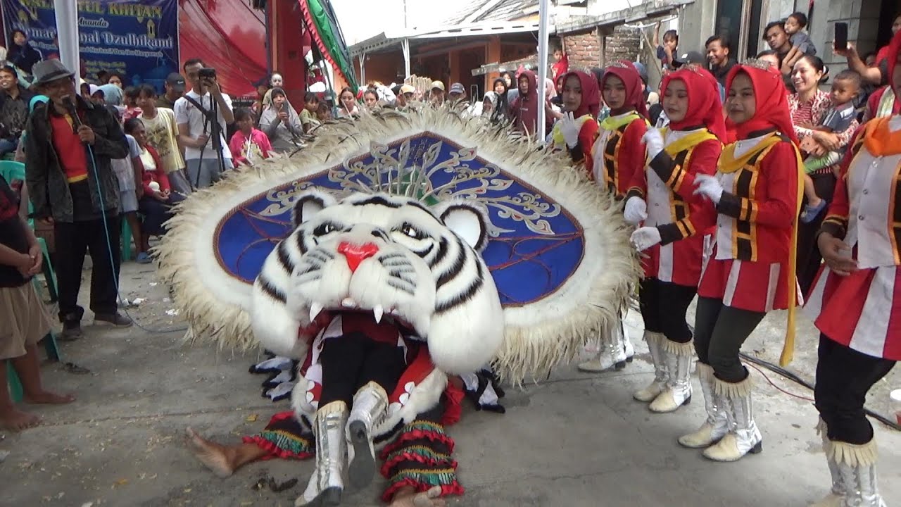 Geger‼️ Detik - detik Mayoret Cantik dicaplok Barongan Besar | JMP DRUMBAND live Wonosekar 