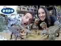 Dbuter avec les plus beaux jouets dinosaures papo  ultra ralistes